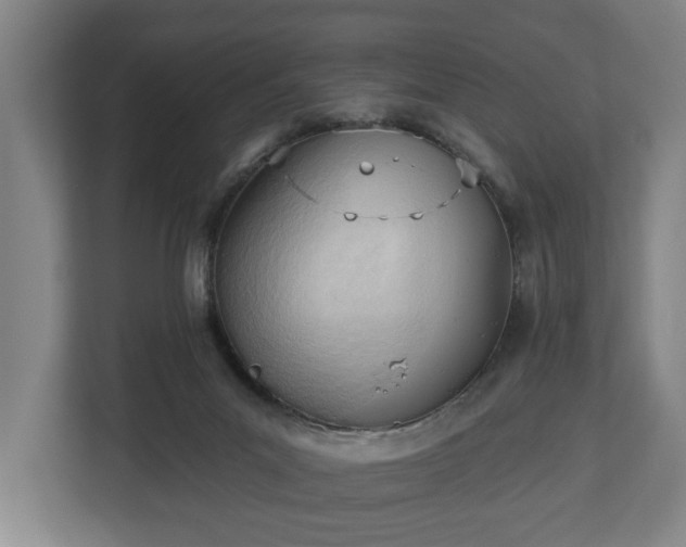 X0000113100023200909041235