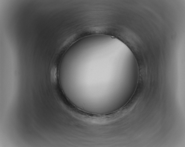 X0000113100024200909041235