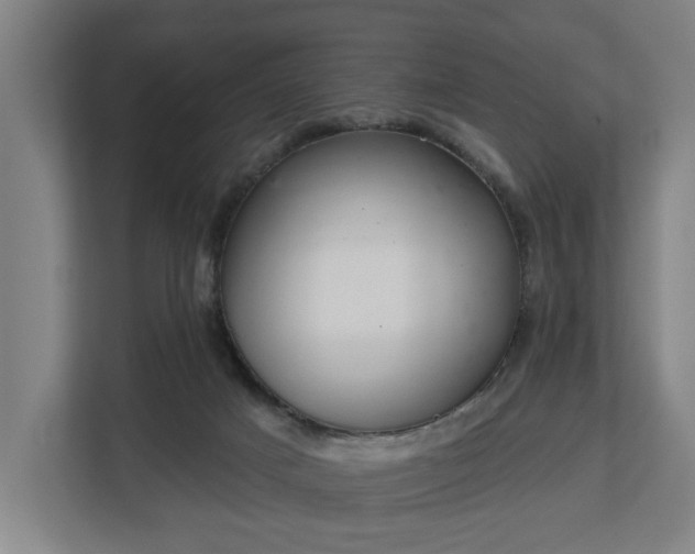 X0000113100025200909041235