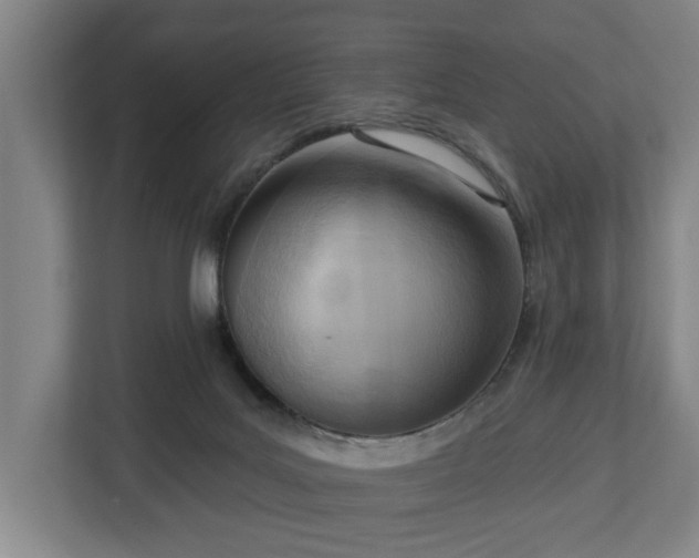 X0000113100027200909041235