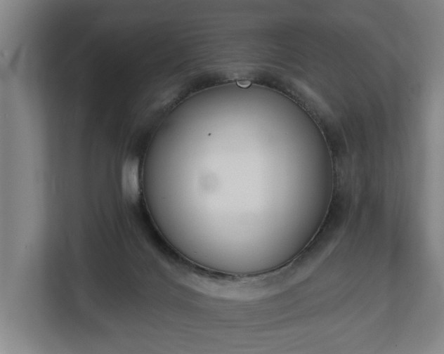 X0000113100028200909041235