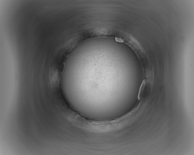 X0000113100029200909041235