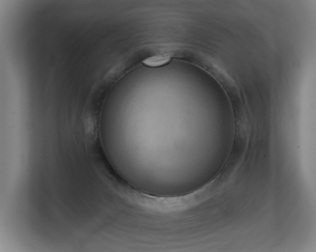 X0000113100031200909041235