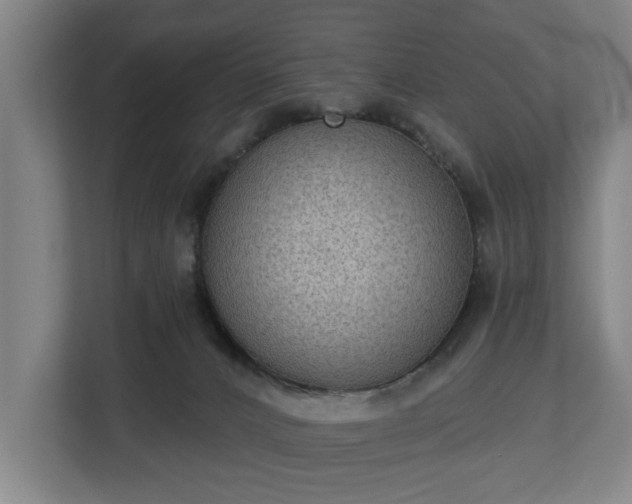 X0000113100032200909041235