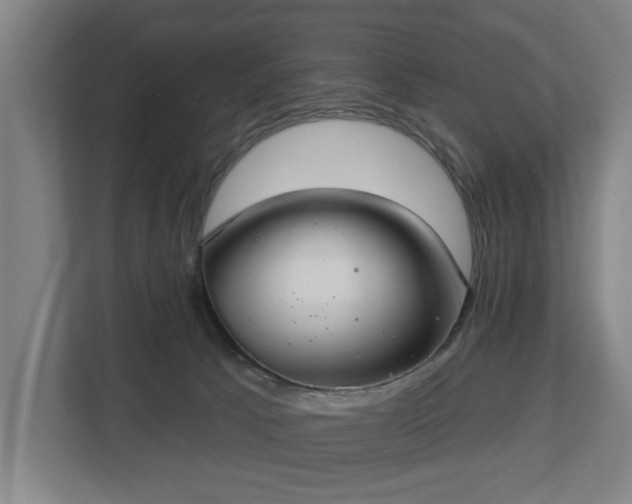 X0000113100033200909041235