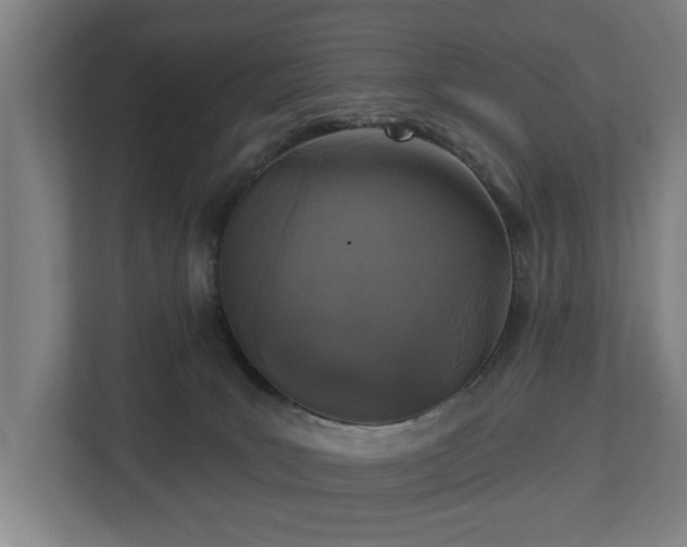 X0000113100035200909041235