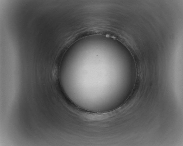 X0000113100036200909041235