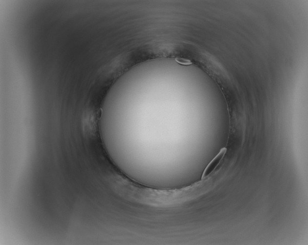 X0000113100037200909041235