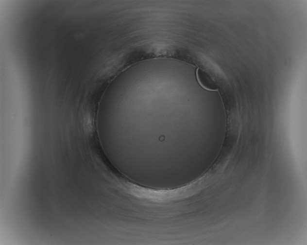 X0000113100039200909041235