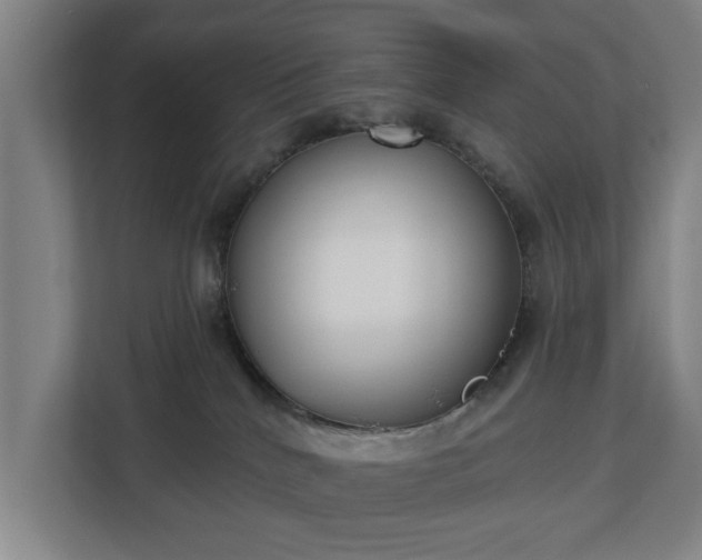 X0000113100040200909041235