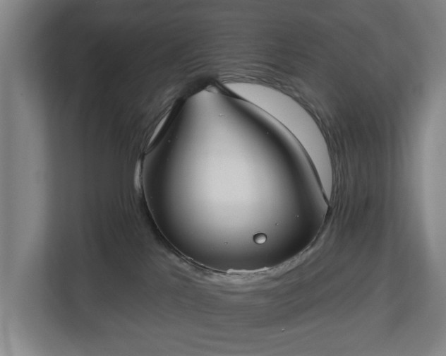 X0000113100041200909041235