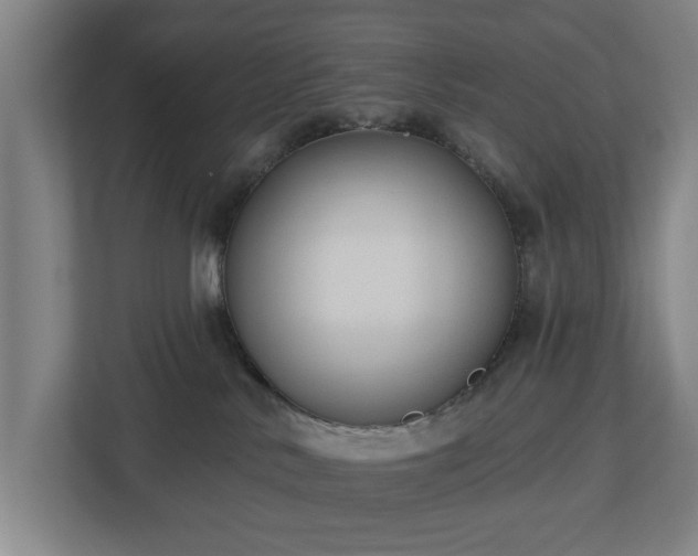 X0000113100042200909041235
