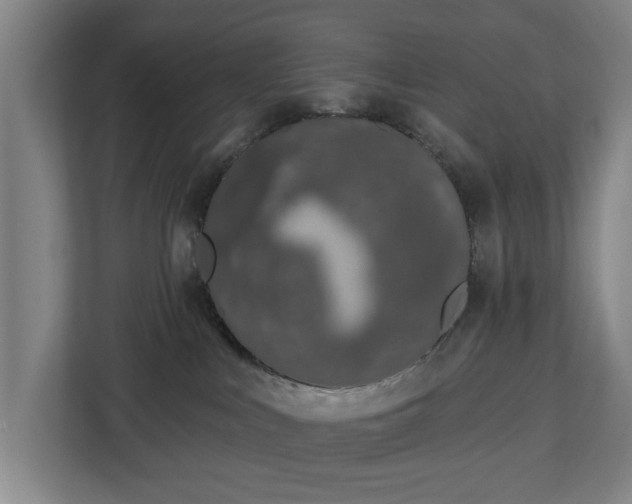 X0000113100043200909041235