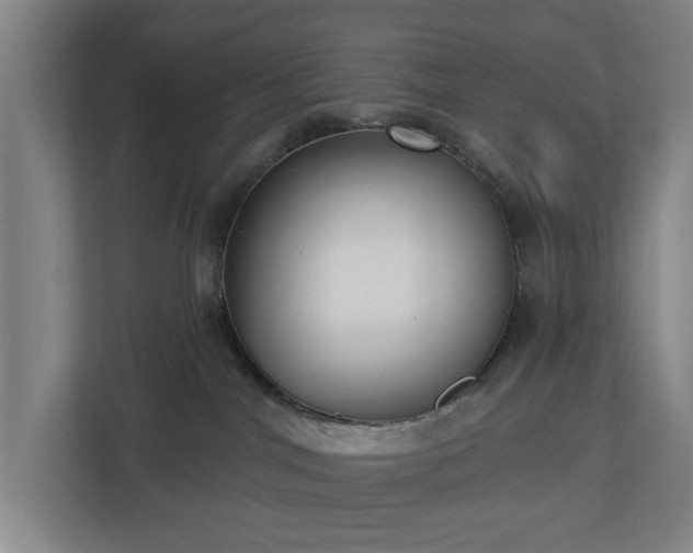 X0000113100044200909041235