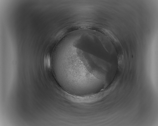 X0000113100046200909041235