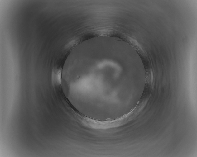 X0000113100047200909041235