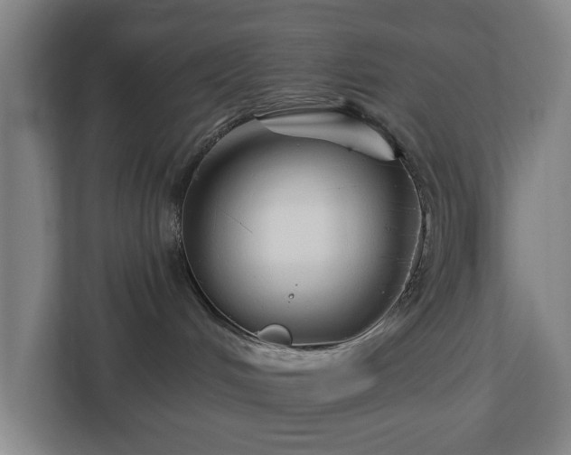 X0000113100048200909041235