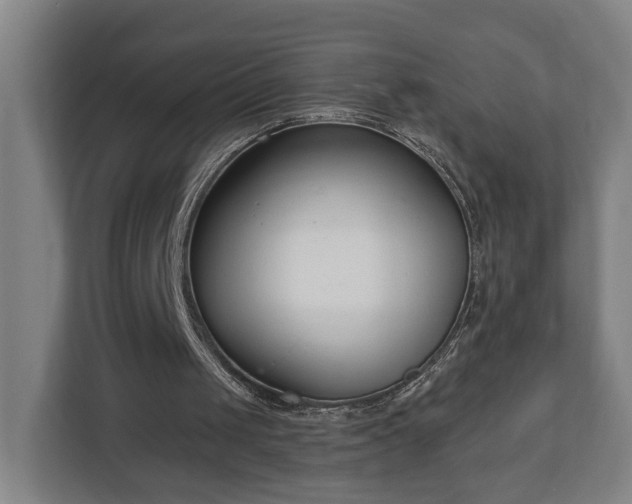 X0000113100049200909041234