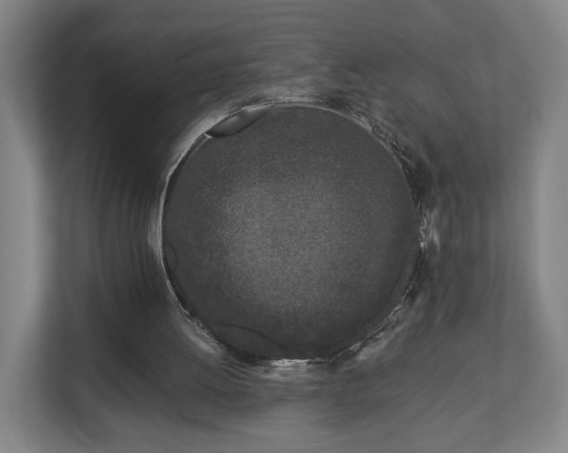 X0000113100052200909041234