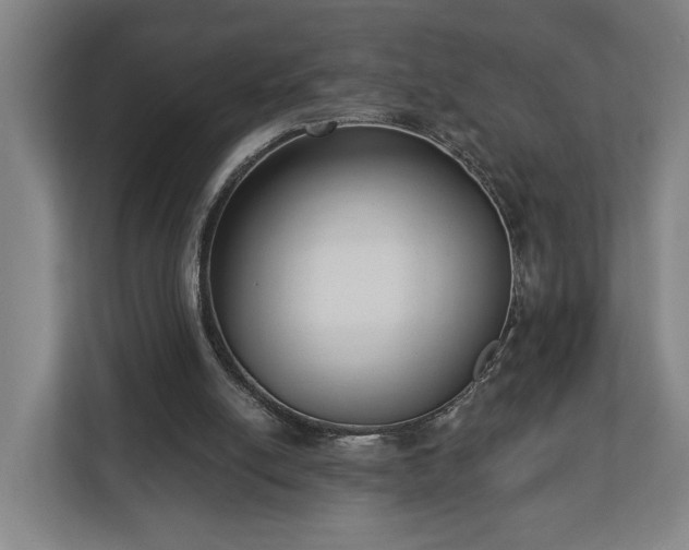 X0000113100054200909041234