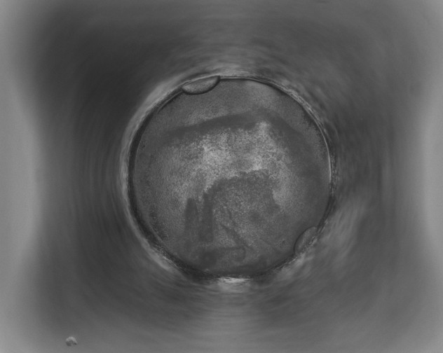X0000113100055200909041234