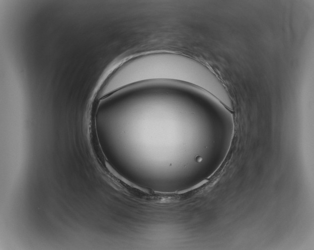 X0000113100056200909041234