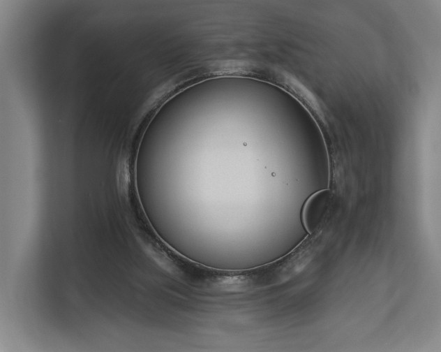 X0000113100059200909041234