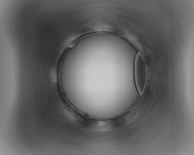X0000113100060200909041234