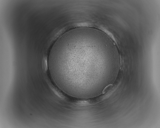 X0000113100061200909041234