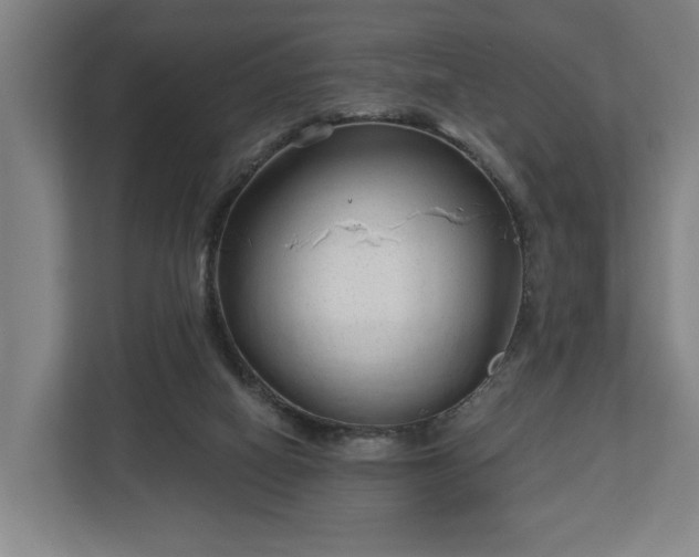 X0000113100066200909041234