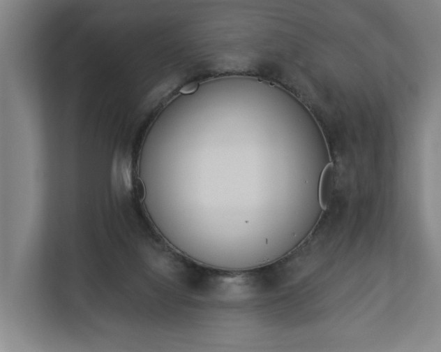 X0000113100068200909041234