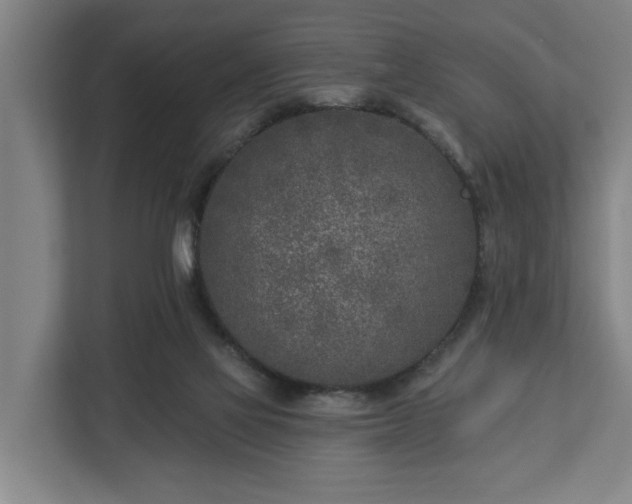 X0000113100069200909041234