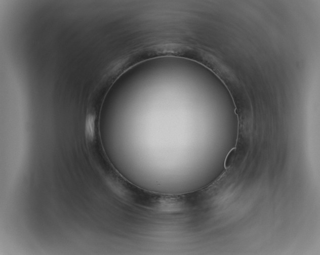 X0000113100070200909041234