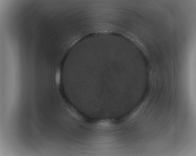 X0000113100076200909041234
