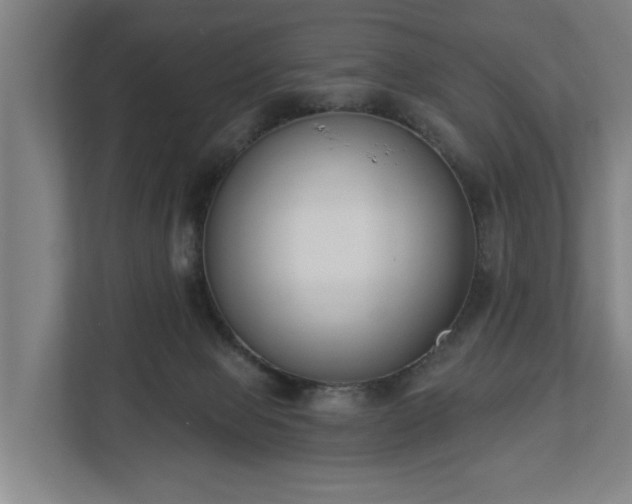 X0000113100077200909041234