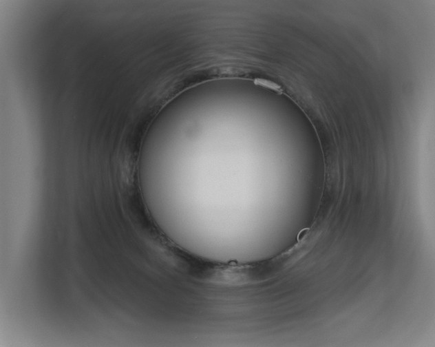 X0000113100078200909041234