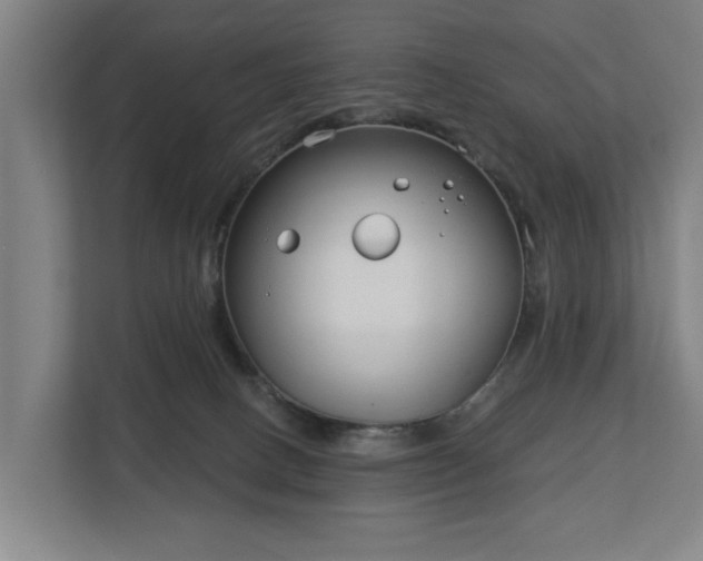 X0000113100082200909041234