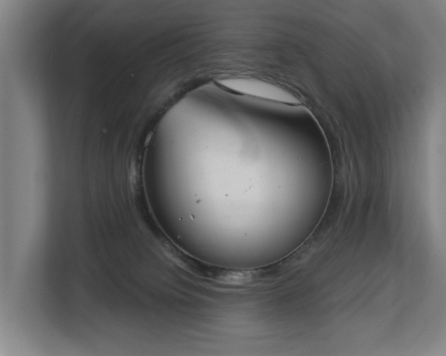 X0000113100084200909041234