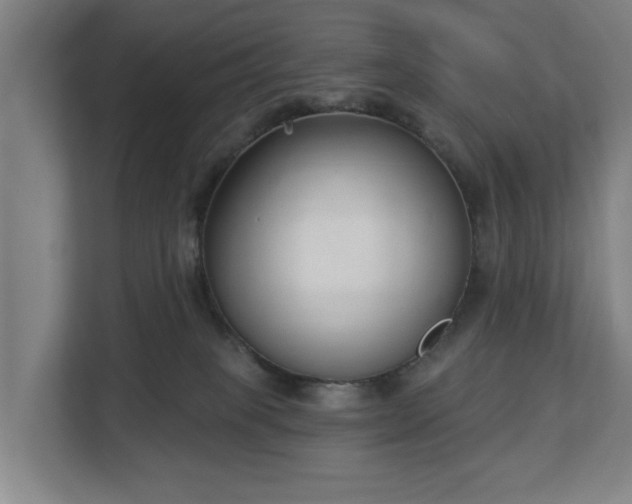 X0000113100085200909041234