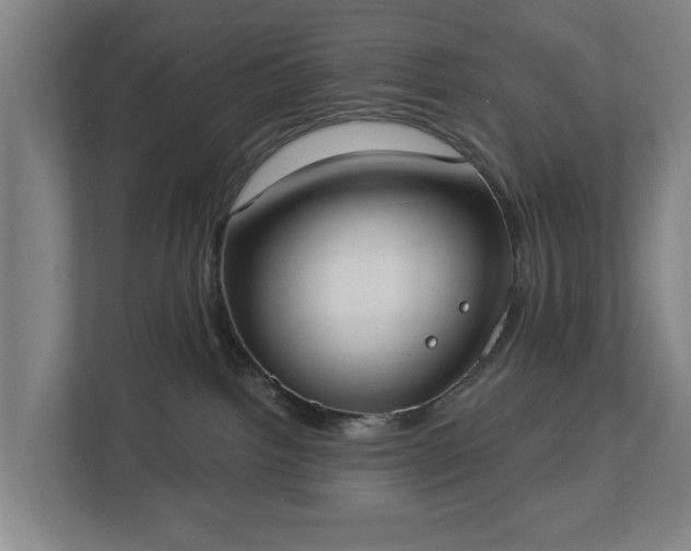 X0000113100092200909041235