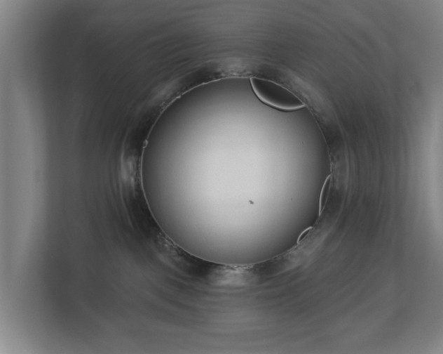X0000113100093200909041235