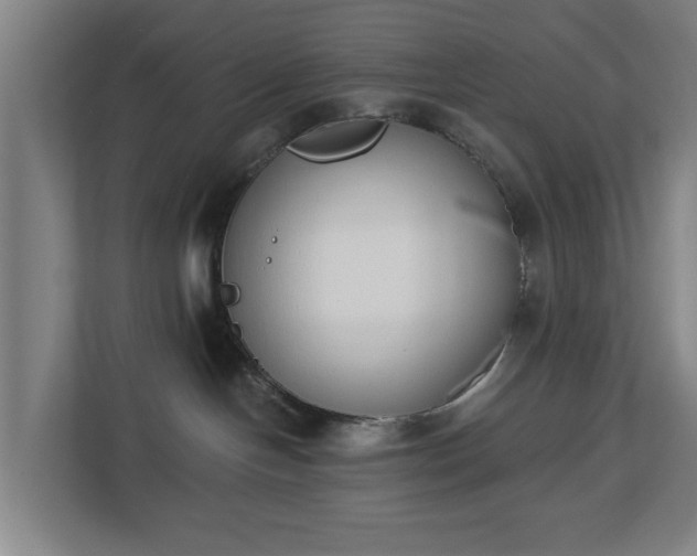 X0000113100094200909041235