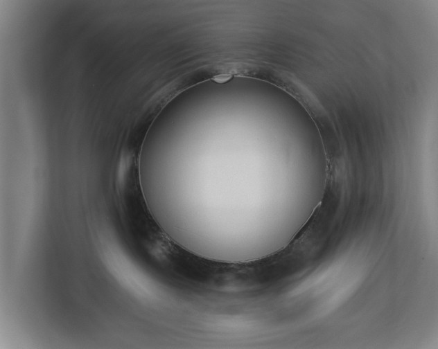 X0000113100095200909041235