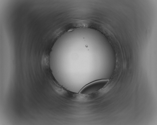 X0000113100096200909041235