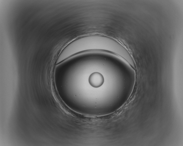 X0000113100097200909041234