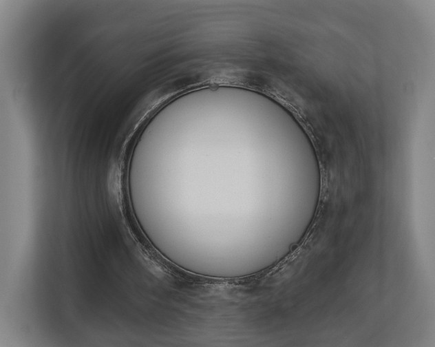 X0000113100098200909041234