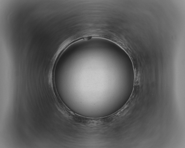 X0000113100099200909041234