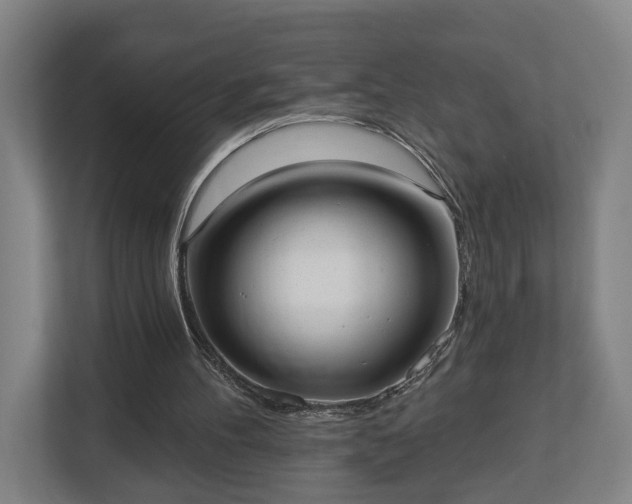 X0000113100100200909041234