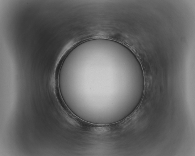 X0000113100102200909041234