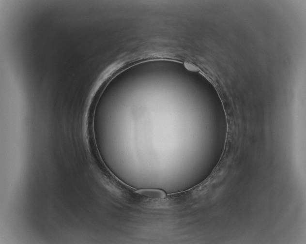 X0000113100104200909041234